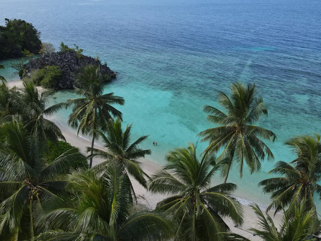 Coconut palms leaning over a white sand beach with pale turquoise shallows beyond them