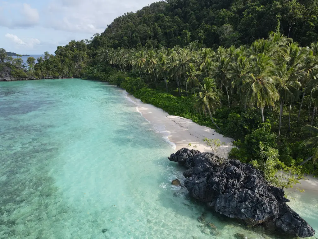 A curved white sand beach backed by dense palms, with black rock at one end and clear shallow water in front