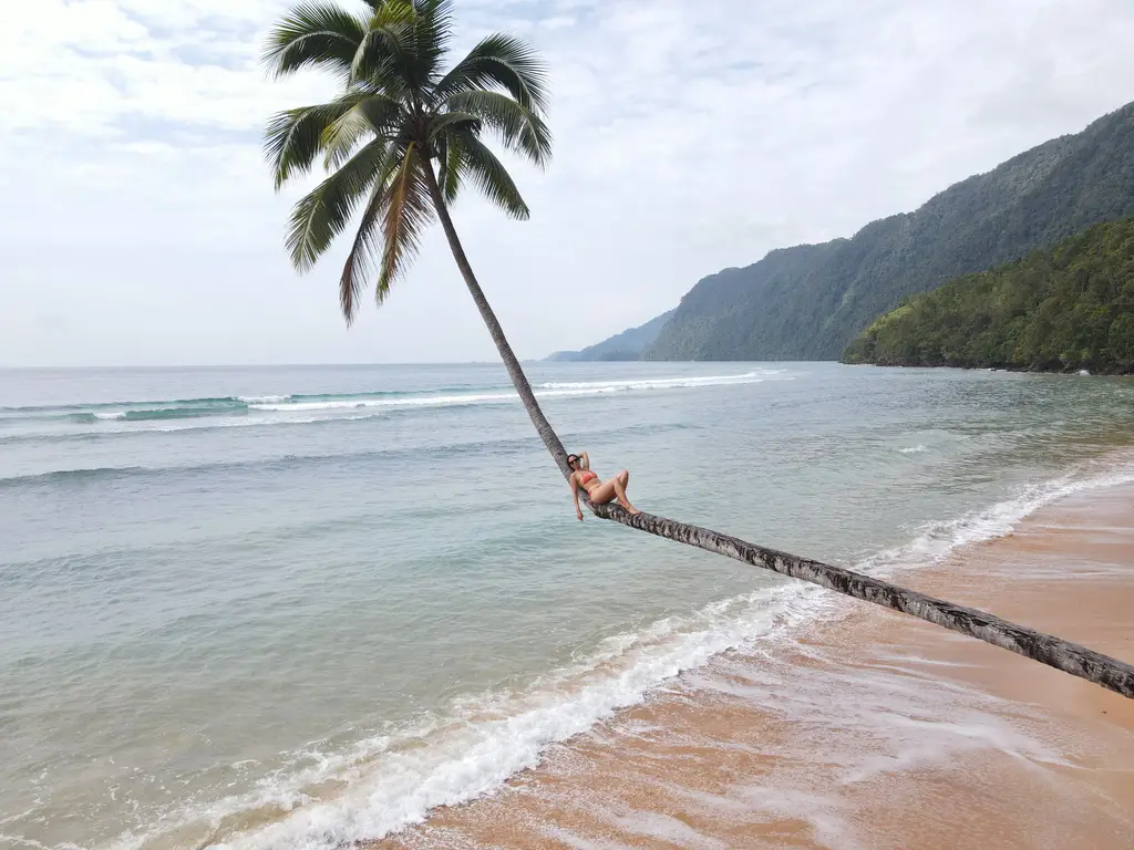 A person sitting on the trunk of a leaning palm above a wide bay, with a forested ridge behind