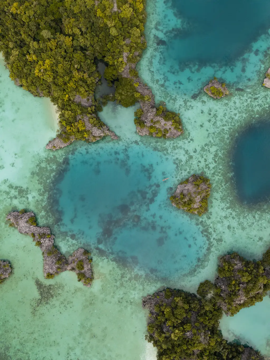 Aerial view of pale turquoise reef broken by darker pools between low green islets