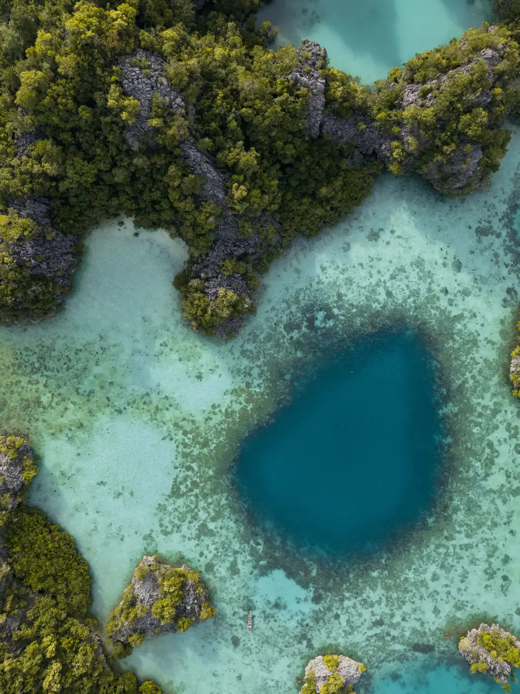 A single deep blue pool set into a pale reef flat, ringed by low green rock
