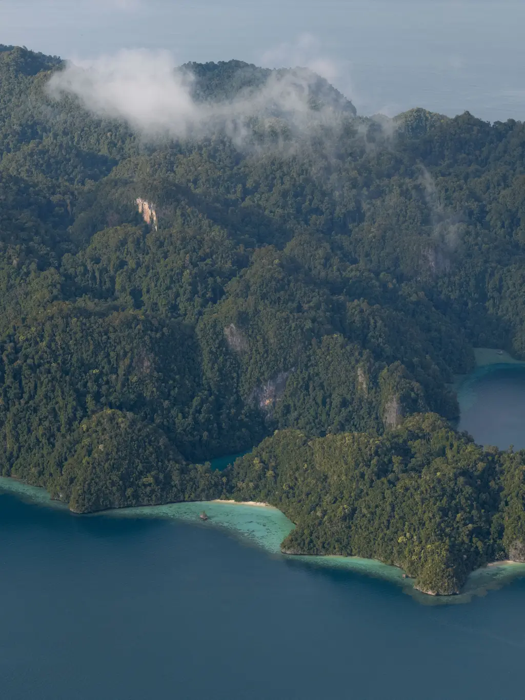 Steep forested slopes dropping to a narrow channel of deep water