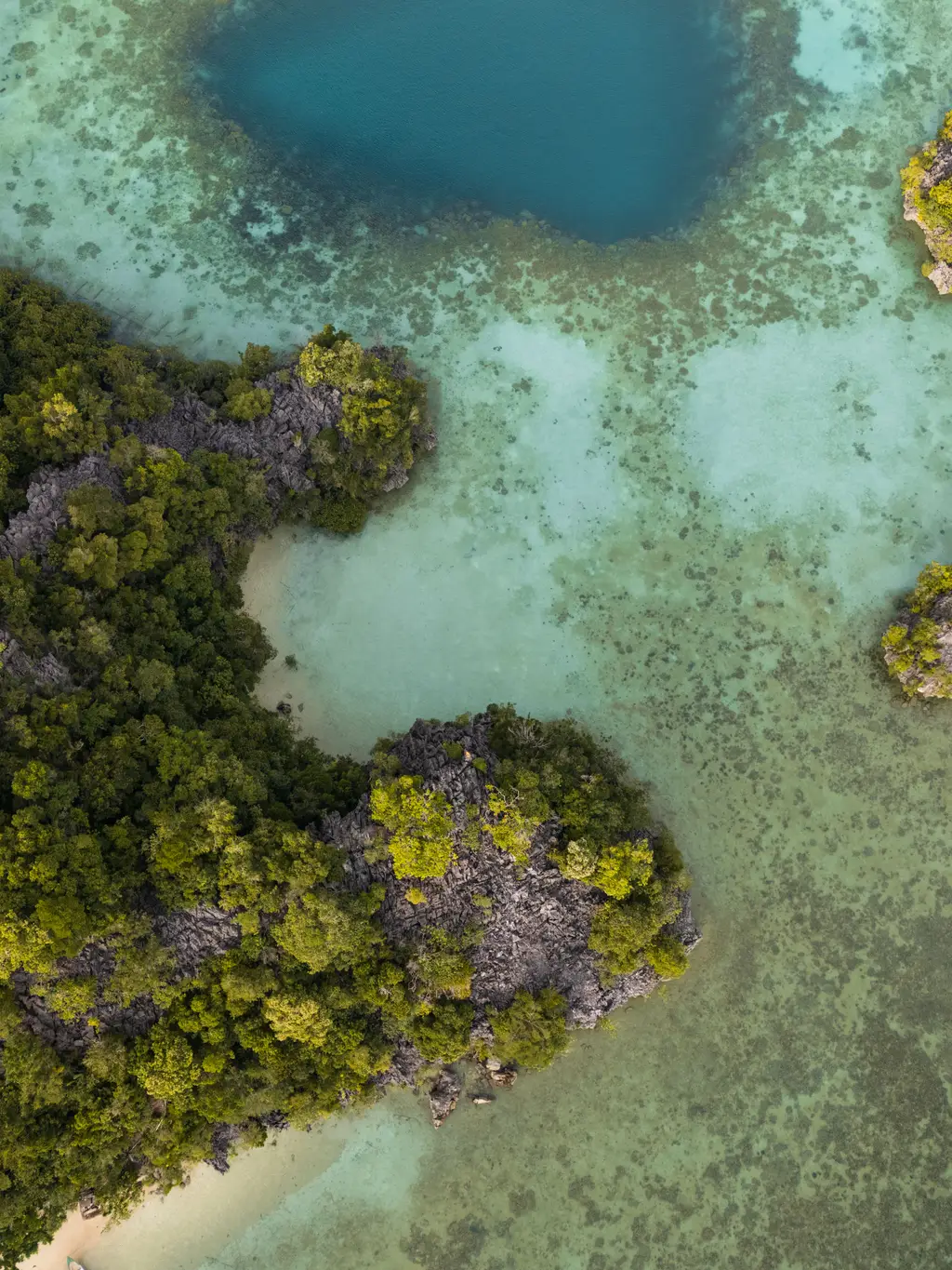 Pale turquoise shallows and reef broken by low scrub-covered limestone rocks, seen from above
