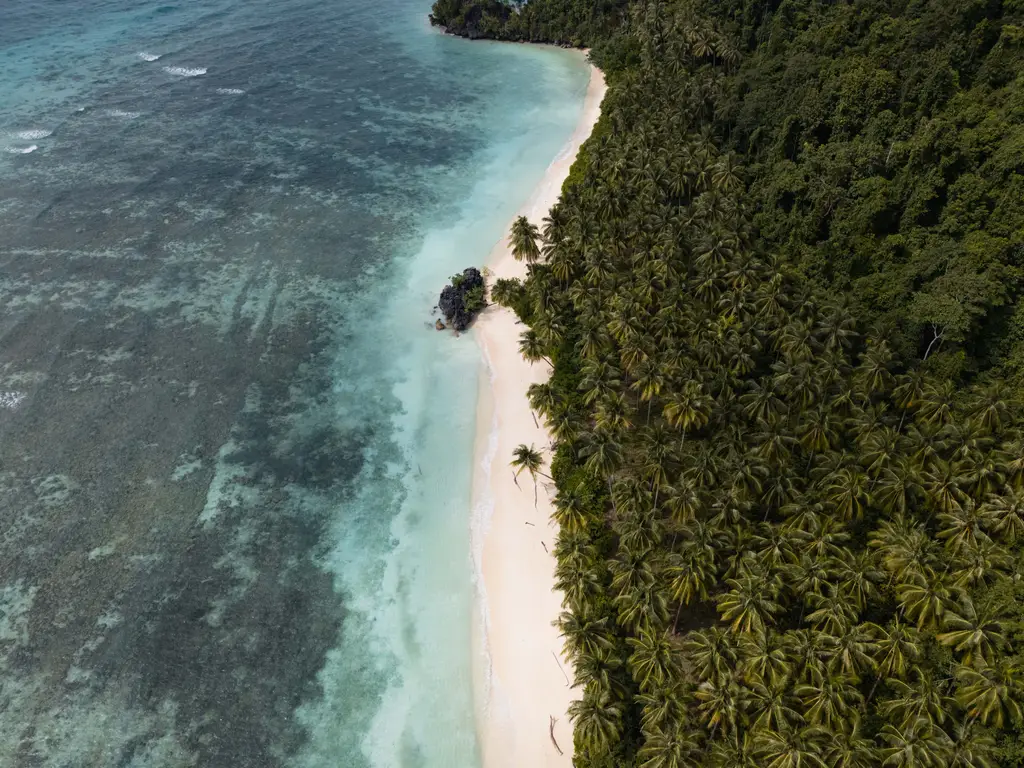 A long white beach fringed with palms, the reef edge visible as a colour change offshore