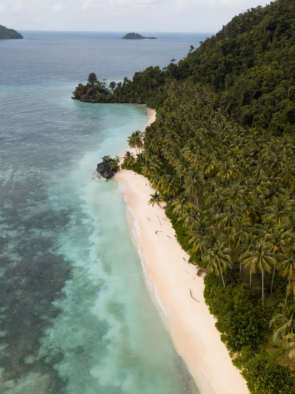 A long curve of pale sand backed by dense coconut palms, with clear shallow water running along it