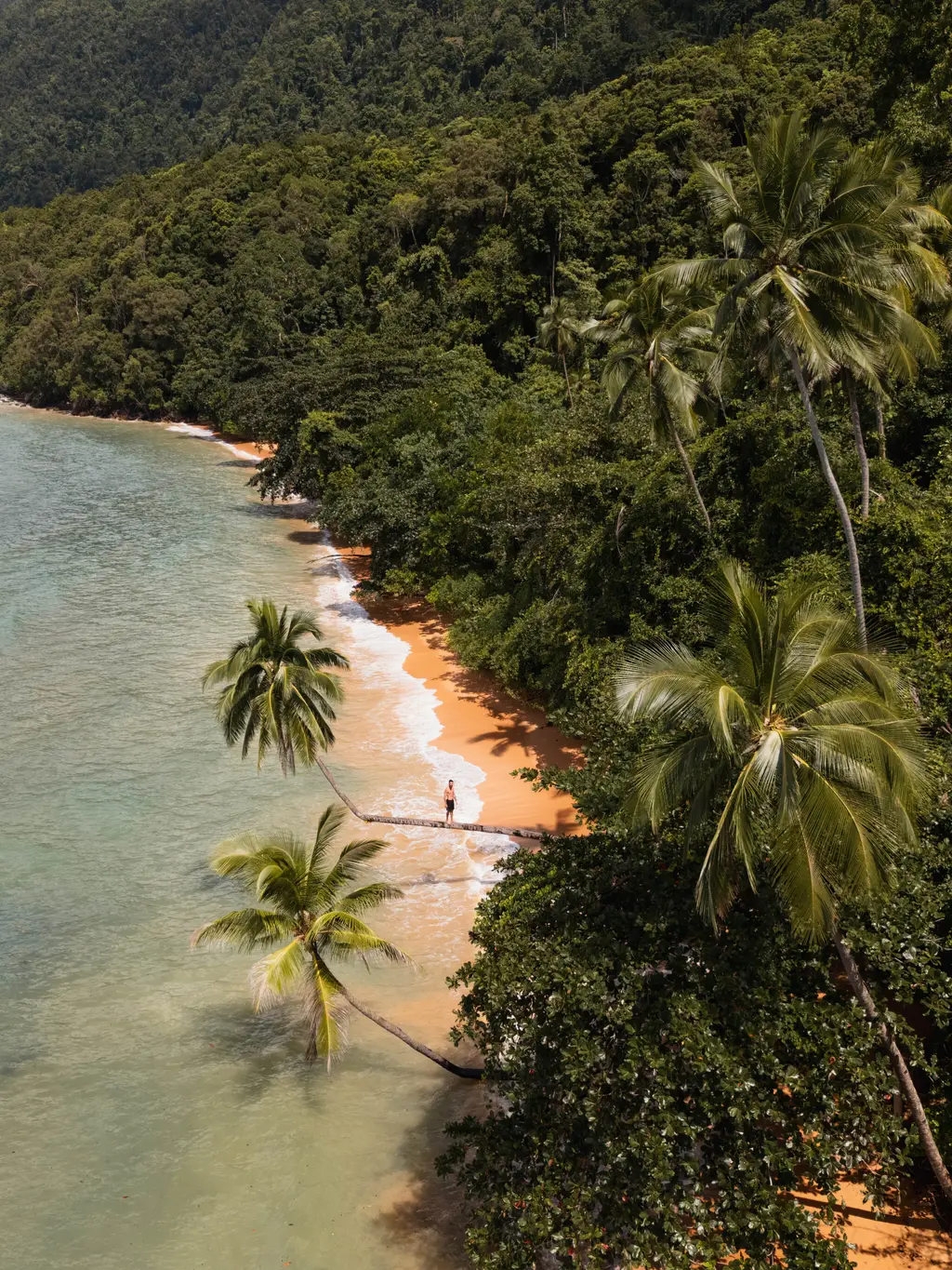 A person standing on a narrow strip of orange-red sand between palms and breaking surf
