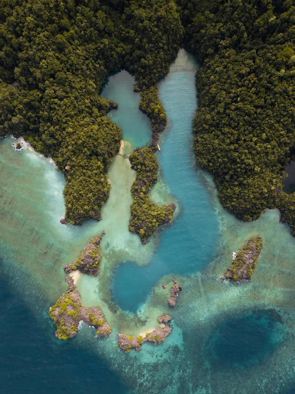 Shallow reef and mangrove-fringed channels winding between low forested islands
