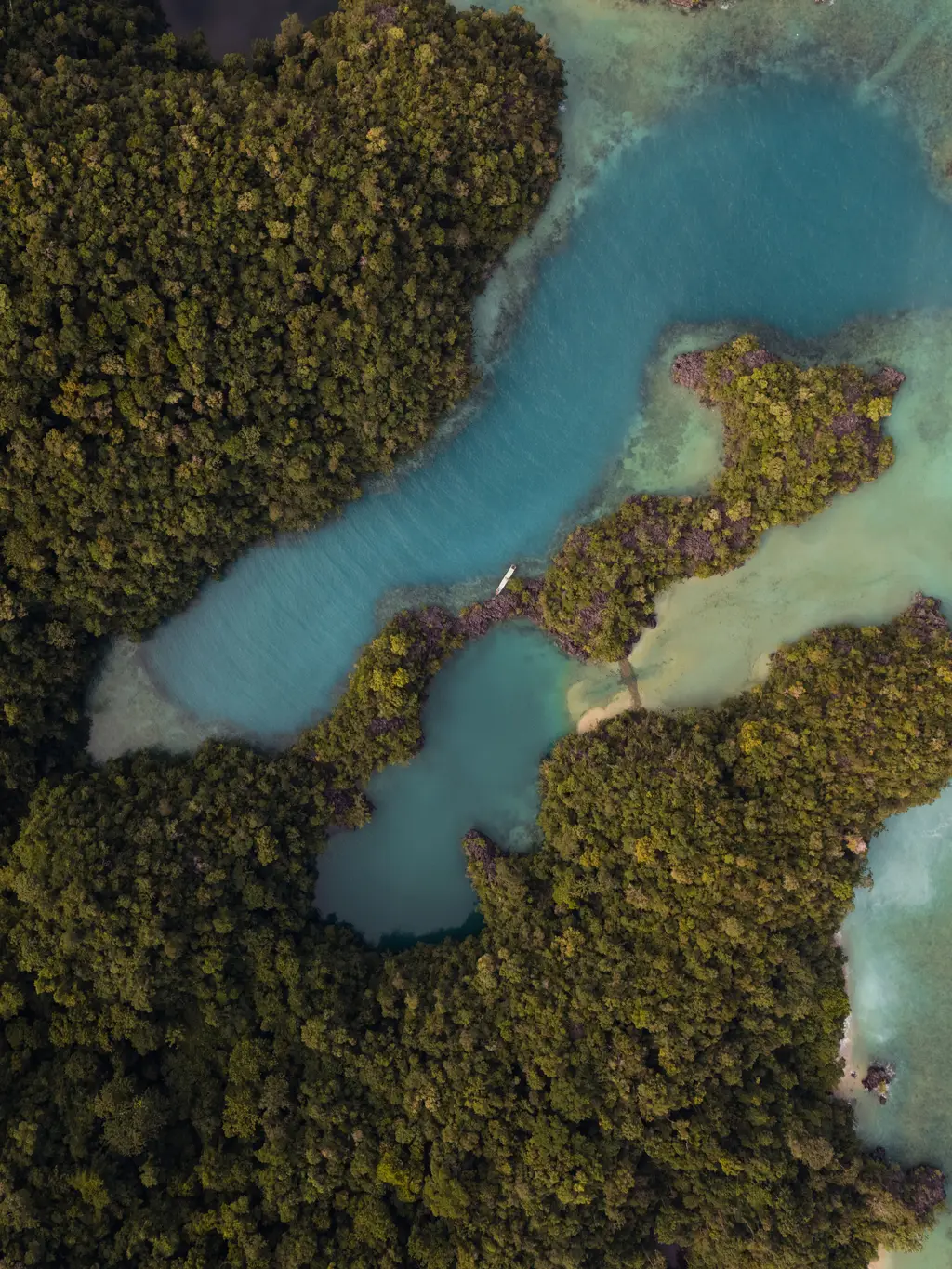 Narrow turquoise channels winding between low forested islands, seen from directly above