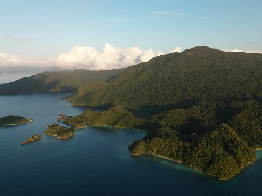 A large forested island with a bay and smaller islets in front of it, seen in low early light