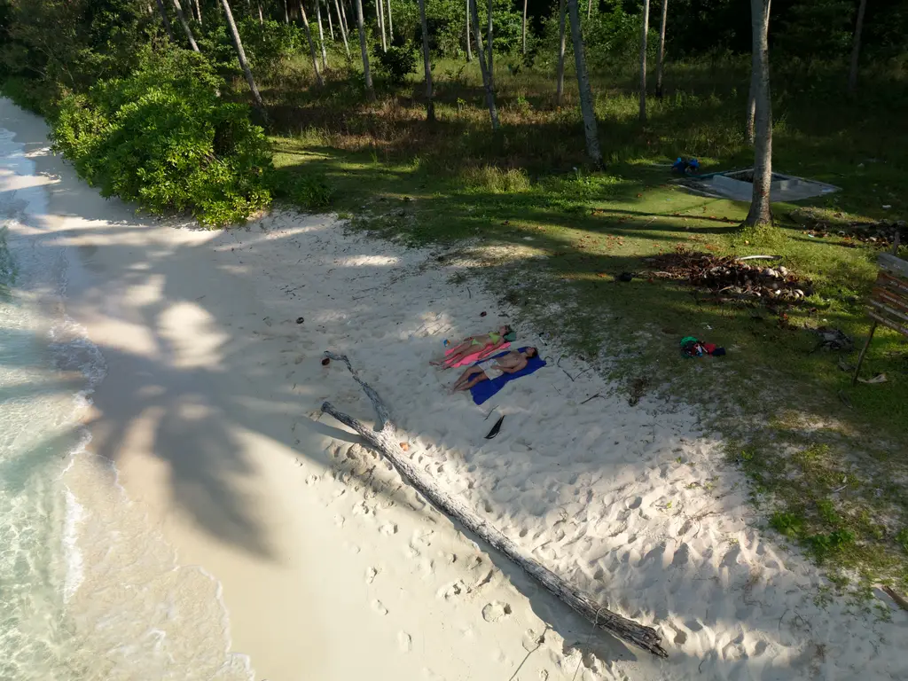 The shadow of a palm across white sand, with towels and belongings laid out beside a fallen trunk