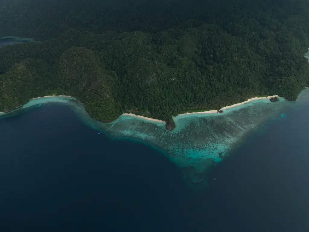 A long sandspit reaching out from a forested shore into shallow water