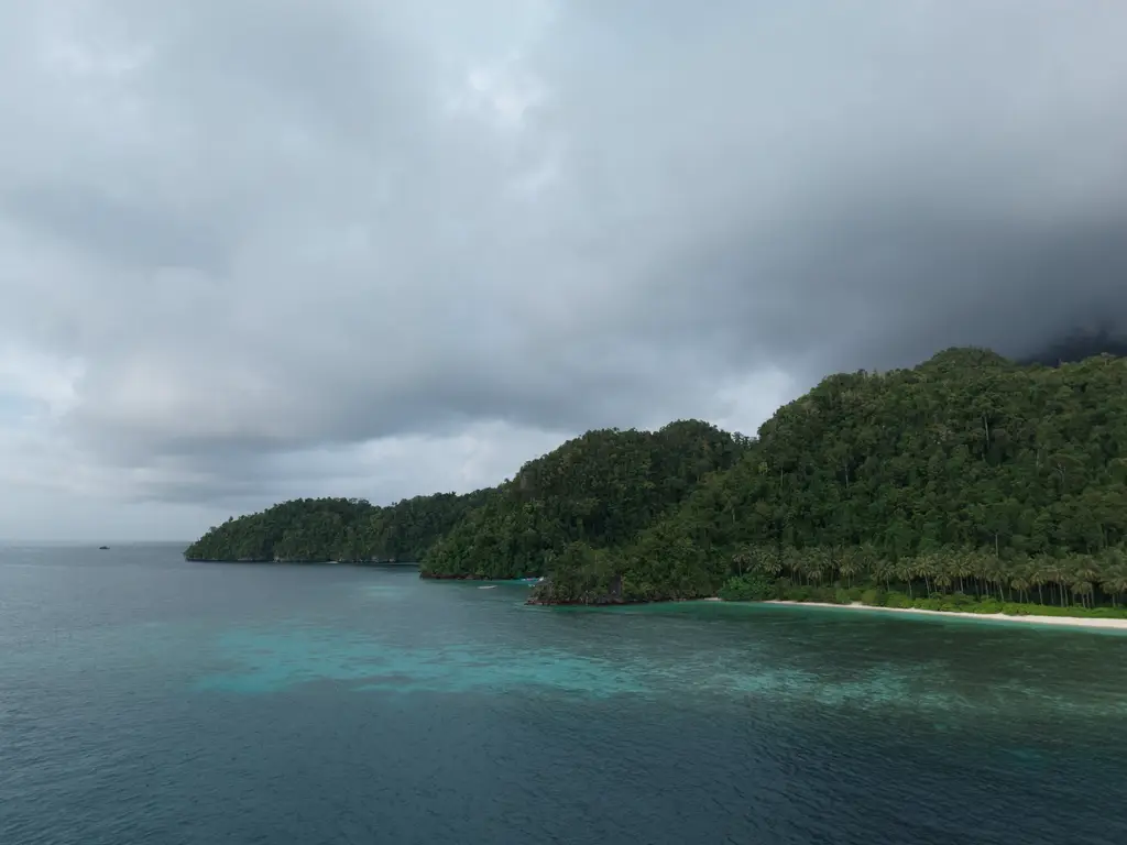 A forested headland under heavy grey cloud, the sea flat and colourless beneath it