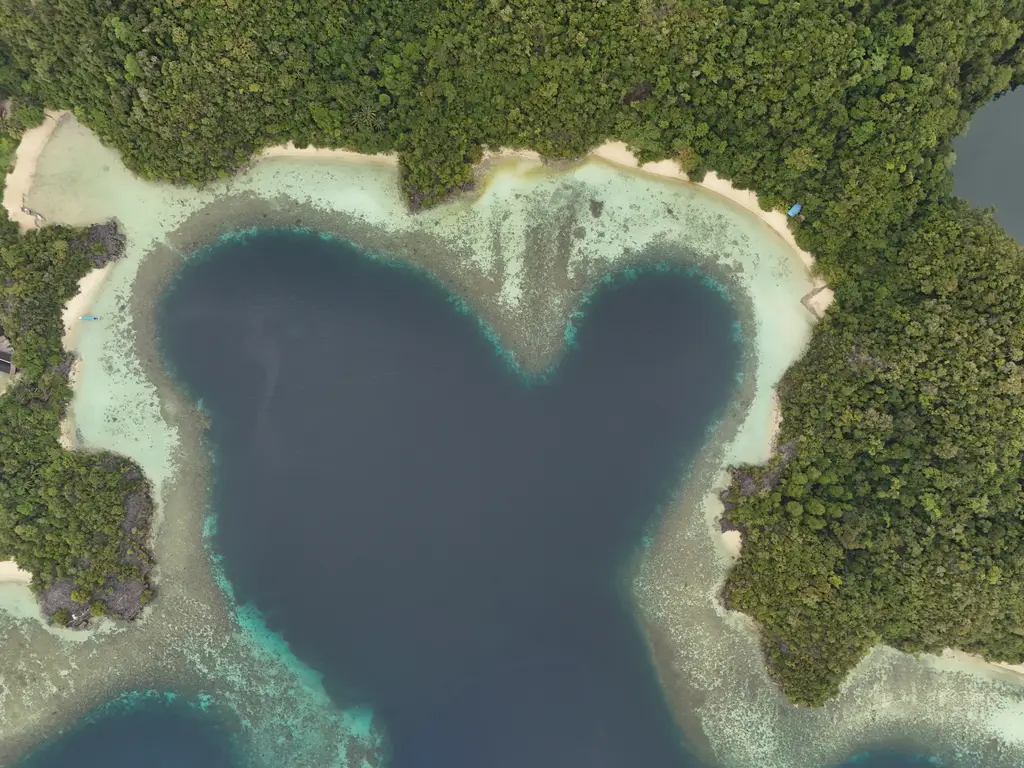 An enclosed bay shaped like a heart, rimmed with pale sand and surrounded by dense forest