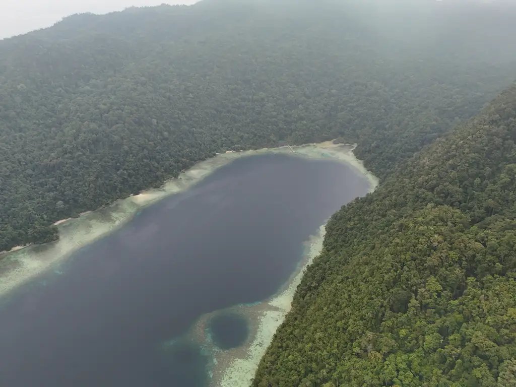 A pale sandbar curving around a forested headland, with deep water on the far side