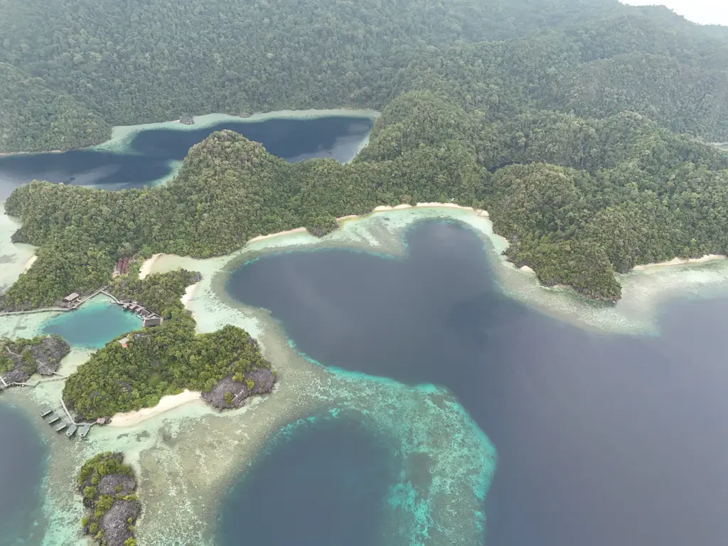 Aerial view of a long reef edge with pale sandbars and deep channels between forested islands
