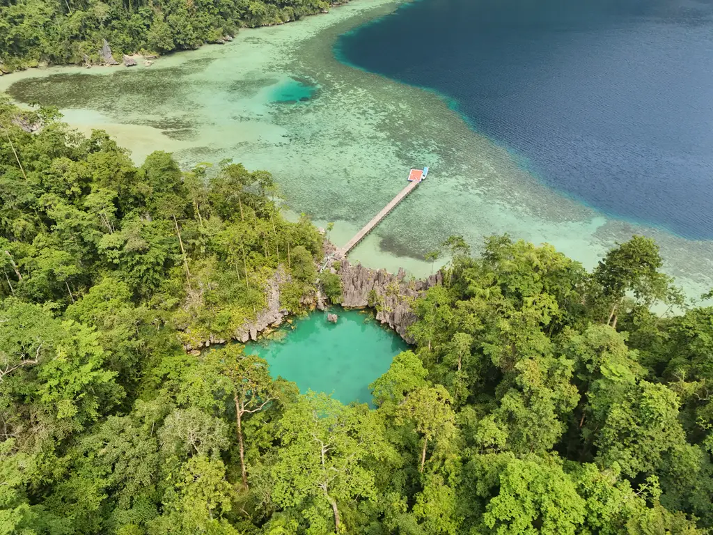 A lagoon reached by a wooden jetty, seen from above with forest closing in around it