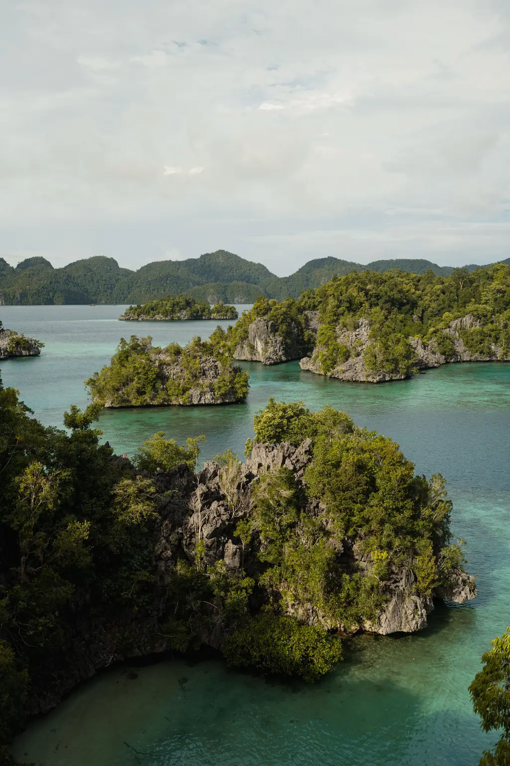 A cluster of steep limestone islands covered in low green scrub, rising straight out of calm sea