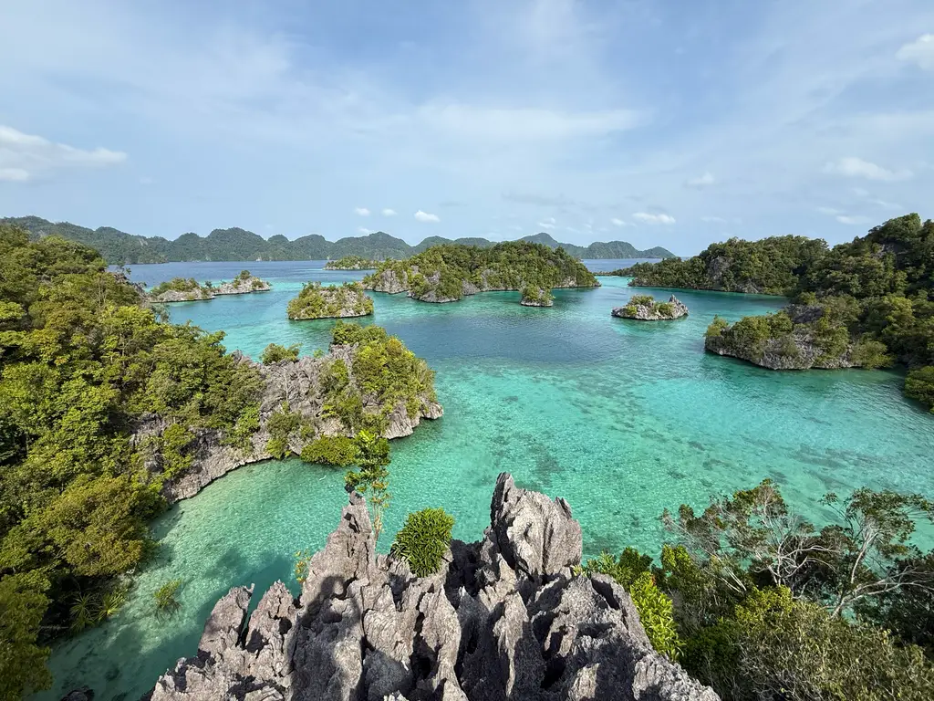 Karst islets scattered through shallow turquoise water, seen from a rocky outcrop