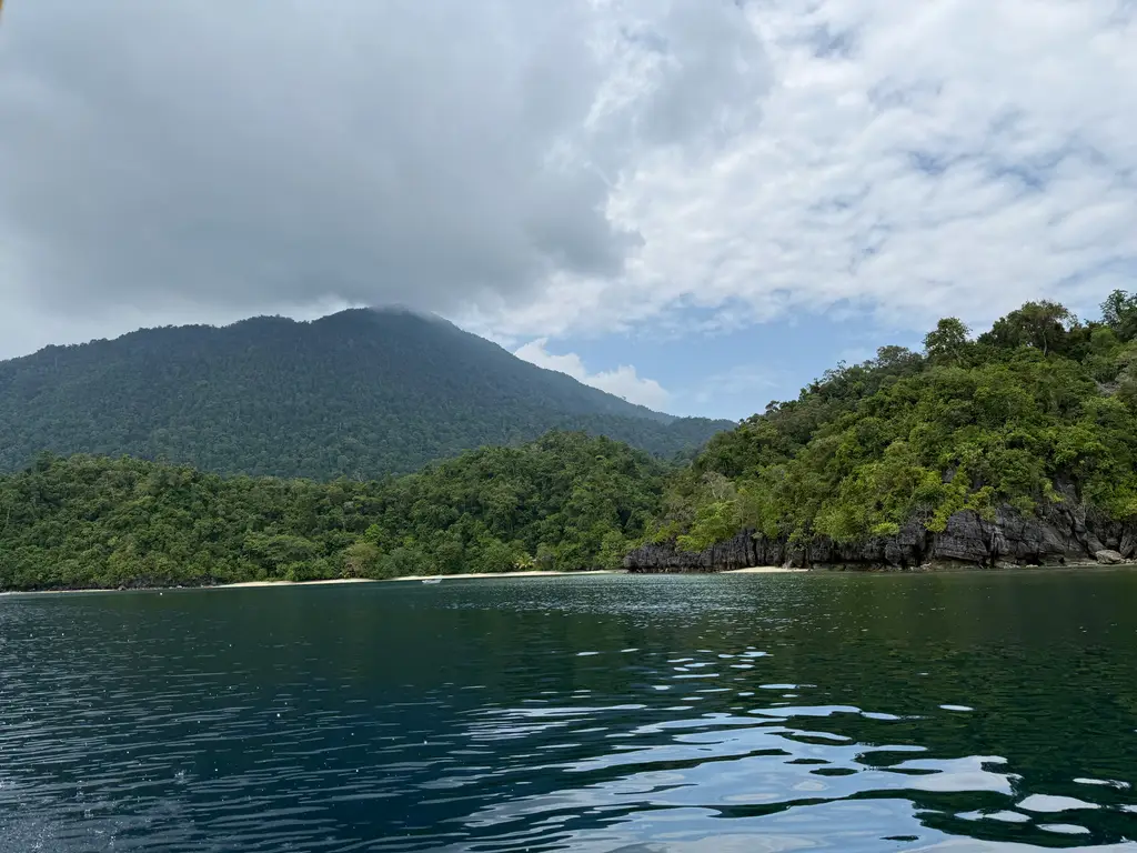 A forested headland running down to calm water under a heavy cloudy sky